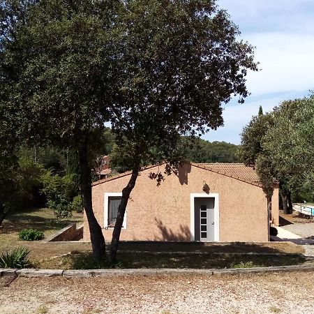 Comorebi Provence Entrecasteaux Esterno foto